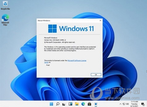 Windows11怎么设置下载路径 Win11默认下载路径设置教程-西西万能库