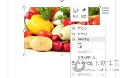 Word2019怎么调节图片透明度 操作方法-西西万能库