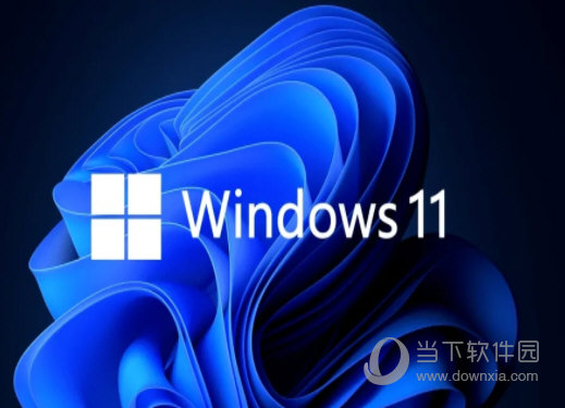 Windows11怎么看显卡功耗 功耗查询教程-西西万能库