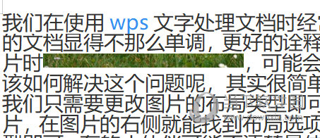 WPSWord图片显示不全解决方法 段落设置帮你忙-西西万能库