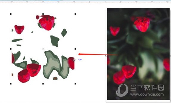 CorelDRAW抠图后怎么删除多余部分 简单几步轻松搞定-西西万能库