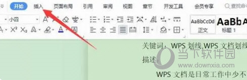 WPS2019怎么设置上划线 看完你就知道了-西西万能库