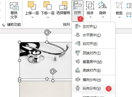 PPT2021怎么进行纵向分布设置 操作方法-西西万能库