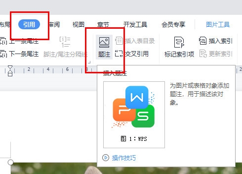 WPS文字怎么给图片标注 题注了解下-西西万能库