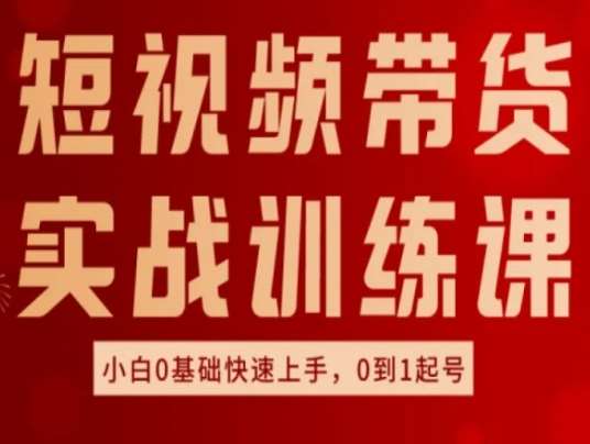 短视频带货实战训练课，好物分享实操，小白0基础快速上手，0到1起号-西西万能库