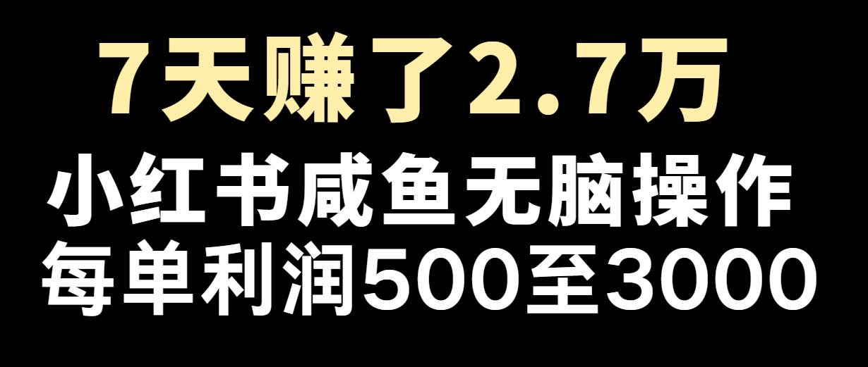 七天赚了2.7万！每单利润最少500+，轻松月入5万+小白有手就行-西西万能库