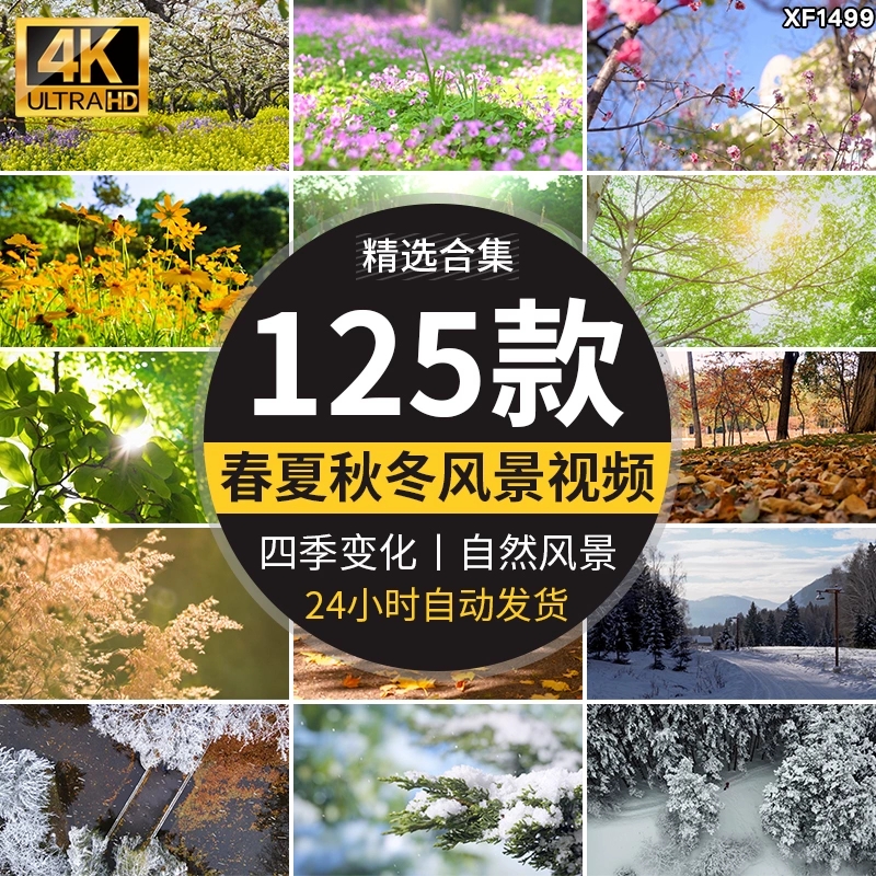 四季植物天气变幻变化季节交替春夏秋冬季抖音高清剪辑短视频素材-西西万能库